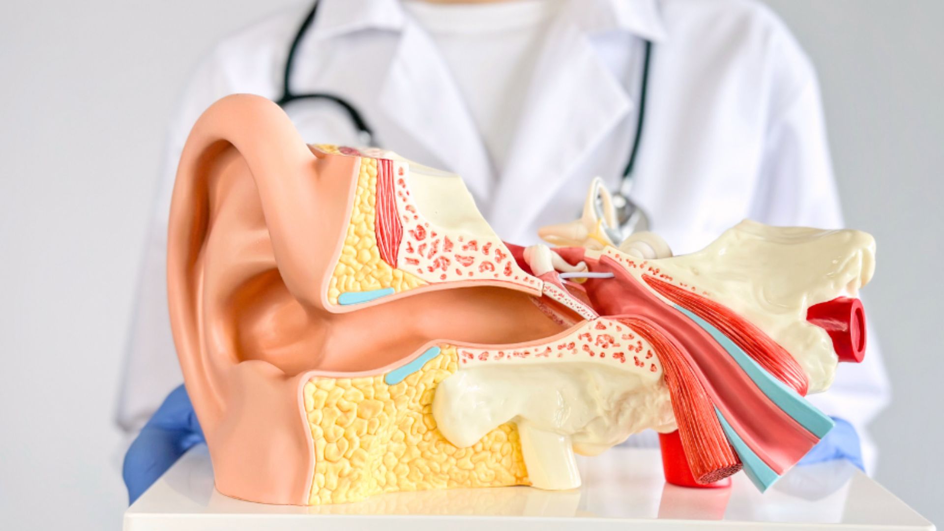 How to Care for Your Ears, Nose, and Throat During Seasonal Changes